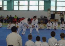 Новогодний семинар 2014